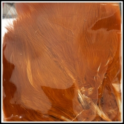 Marabou (Strung) Burnt Orange